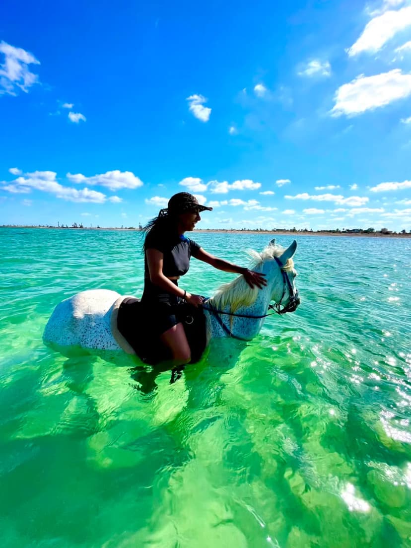 Horse Swimming Experience in Djerba