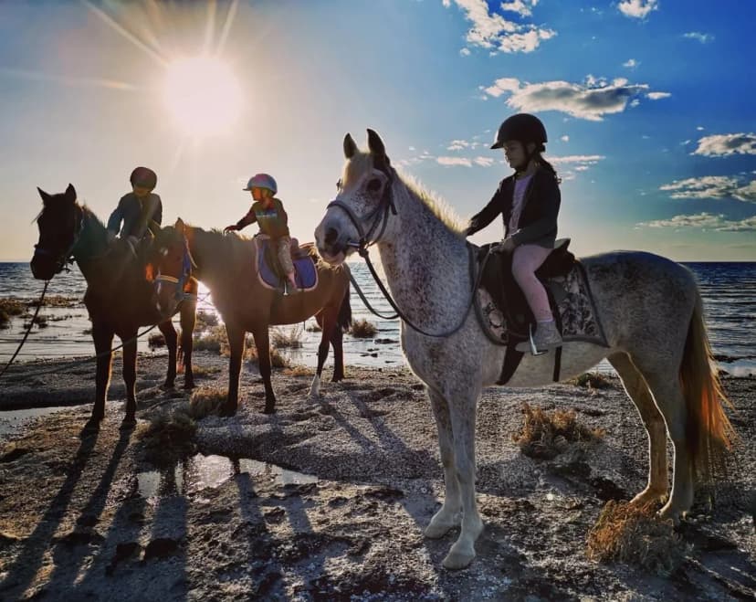Horse Riding Experience in Djerba